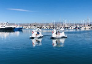 rent white pedal boats
