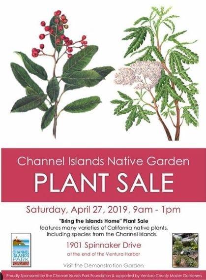 channel islands plant sale