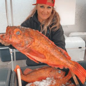 Ventura Fresh Fish