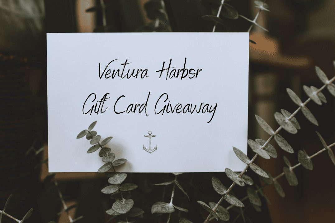 Gift Card Giveaway
