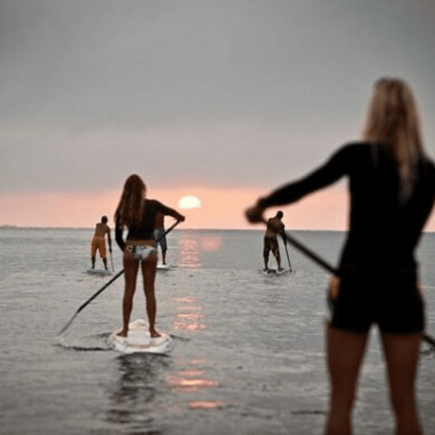 Paddle Into Fitness