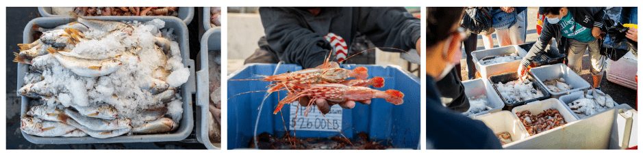 Three close up photos of the Saturday Fish Market at the Ventura Harbor