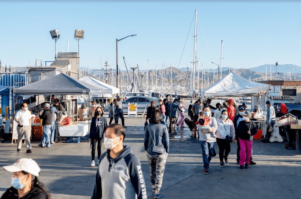 Photo of Saturday Fisherman's Market at The Ventura Harbor