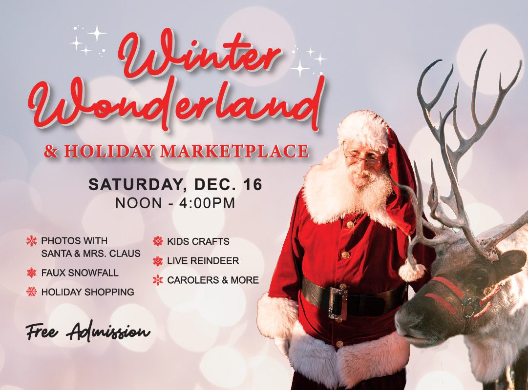 Winter Wonderland & Holiday Marketplace