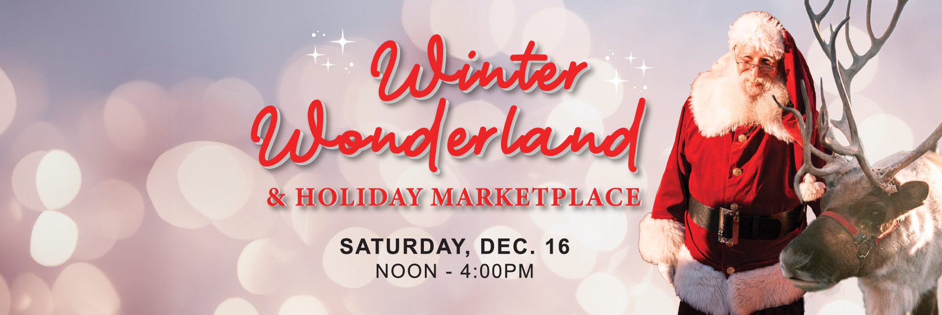 Winter Wonderland is December 16th from noon to 4pm