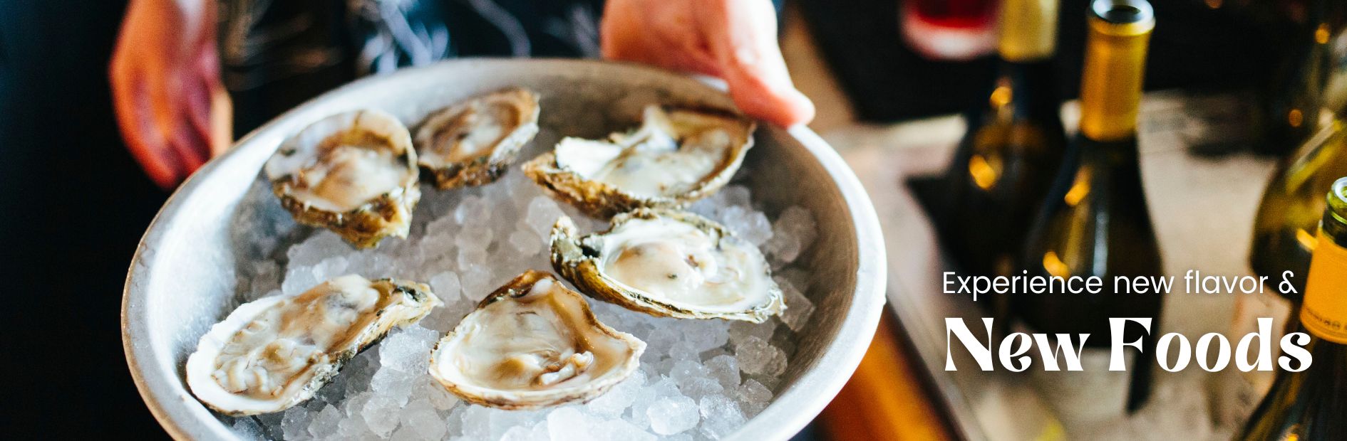Oysters