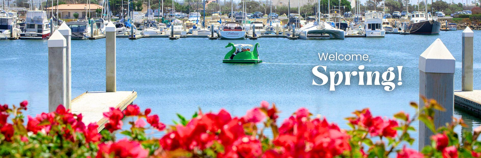 paddle boat