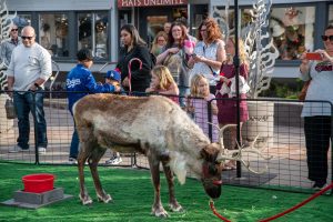 A reindeer grazes in a fenced area with people nearby. Some are taking photos, and children are observing. A building with a "Hats Unlimited" sign is in the background.