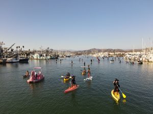People paddleboarding and kayaking in a harbor with boats docked on both sides, under a clear blue sky.