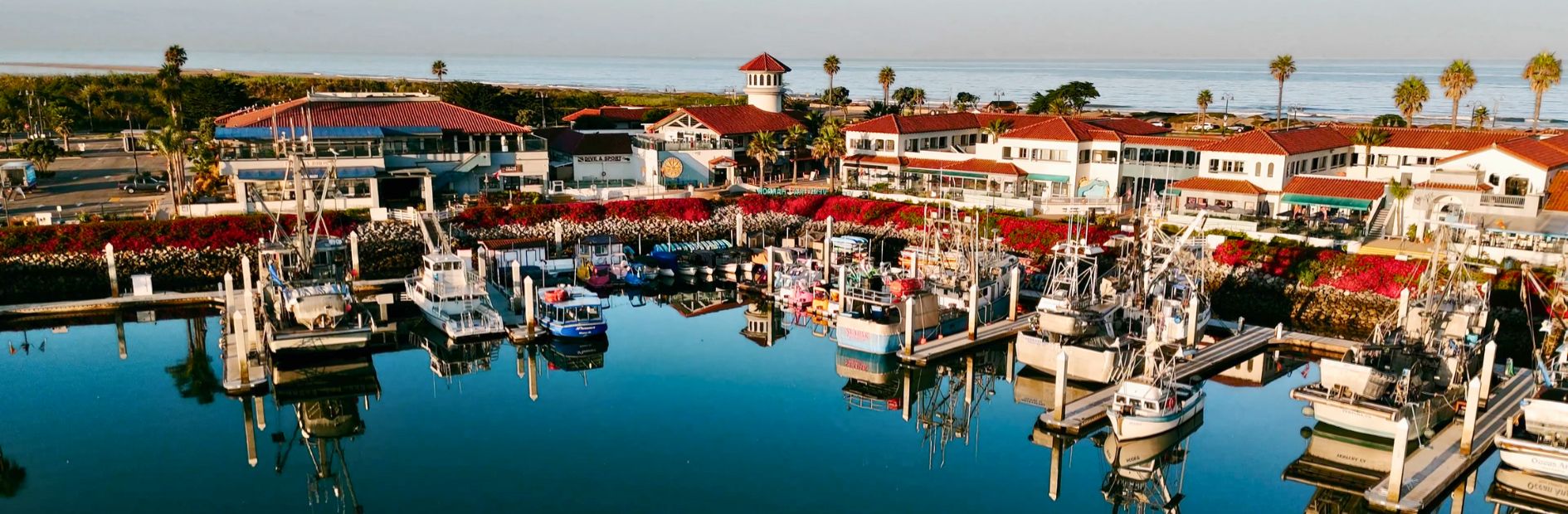 A marina with several boats docked, surrounded by shops, restaurants, and palm trees. The ocean and a clear sky are visible in the background.