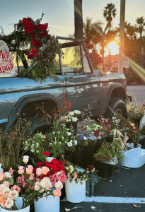 Vintage truck filled with festive greenery and flowers parked by the roadside. Buckets of various colorful flowers surround the vehicle. Sunset and palm trees in the background.