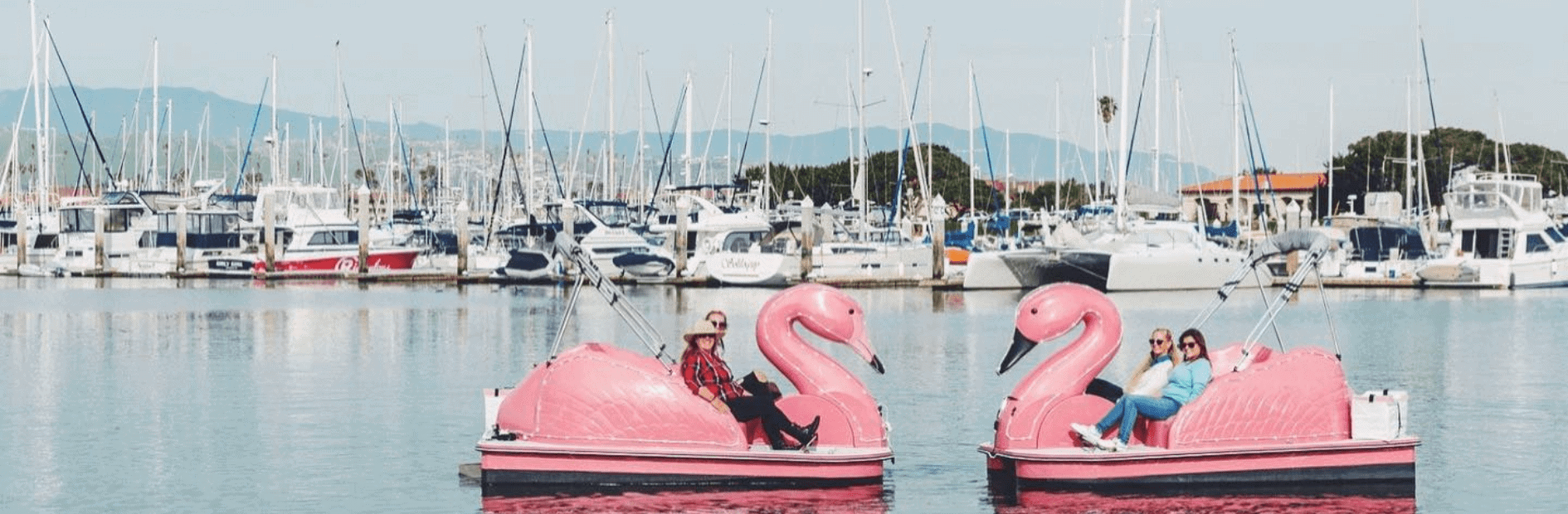 Two groups of people ride pink flamingo paddle boats on a calm marina, with numerous boats docked in the background.