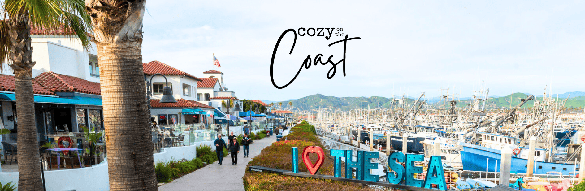 cozy coast