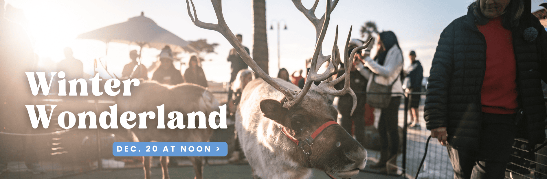 Winter Wonderland Reindeer